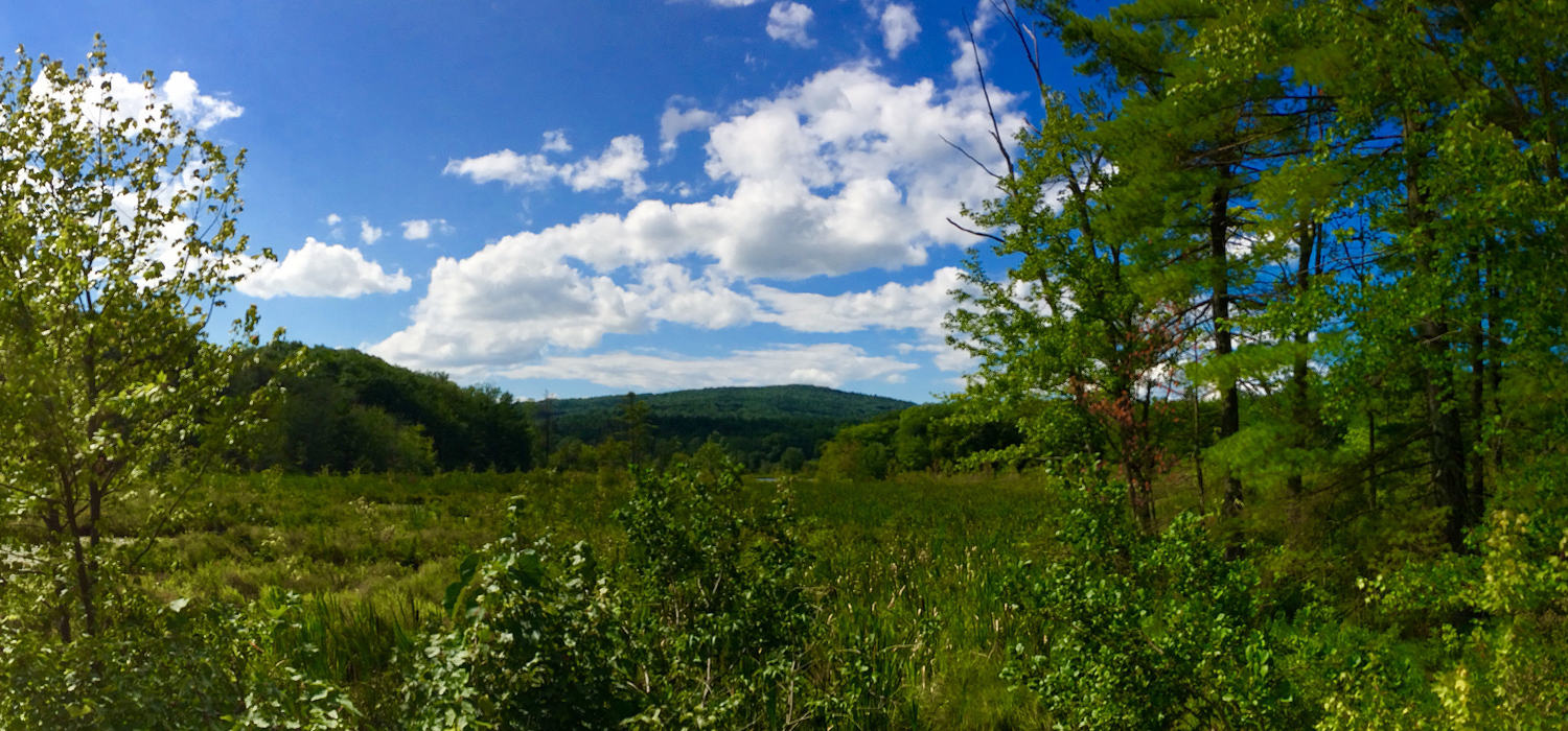 SCENIC LANDSCAPES ABOUND