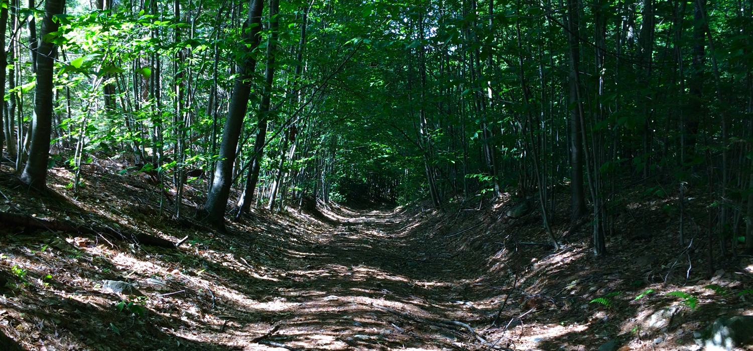 OFF THE BEATEN PATH AND MORE